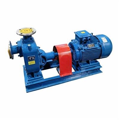 Roostevabast terasest sukelveepump